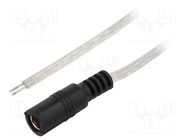 Cable; 2x0.5mm2; wires,DC 5,5/2,1 socket; straight; transparent BQ CABLE