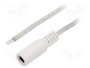 Cable; 2x0.5mm2; wires,DC 5,5/2,1 socket; straight; transparent BQ CABLE