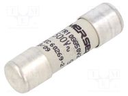 Fuse: fuse; gG,time-lag; 2A; 500VAC; 250VDC; 10x38mm MERSEN