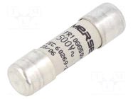 Fuse: fuse; 16A; 500VAC; 250VDC; gG; 10x38mm MERSEN