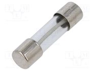 Fuse: fuse; time-lag; 500mA; 250VAC; cylindrical,glass; 5x20mm SCHURTER