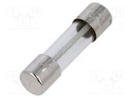 Fuse: fuse; time-lag; 630mA; 250VAC; cylindrical,glass; 5x20mm SCHURTER