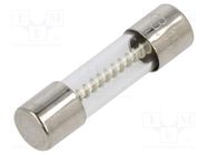 Fuse: fuse; time-lag; 3.15A; 250VAC; cylindrical,glass; 5x20mm SCHURTER