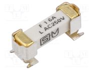 Fuse: fuse; time-lag; 1.6A; 250VAC; 125VDC; SMD; ceramic; 4.2x11.1mm SCHURTER