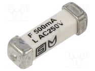 Fuse: fuse; quick blow; 500mA; 250VAC; 125VDC; SMD; ceramic; copper SCHURTER