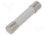 Fuse: fuse; ultra rapid; 500mA; 500VAC; ceramic,cylindrical; A12FA SCHURTER