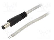 Cable; 2x0.5mm2; wires,DC 5,5/2,1 plug; straight; transparent BQ CABLE