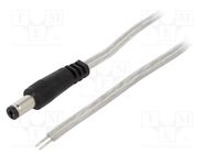 Cable; 2x0.5mm2; wires,DC 5,5/2,1 plug; straight; transparent BQ CABLE