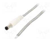 Cable; 2x0.5mm2; wires,DC 5,5/2,1 plug; straight; transparent BQ CABLE