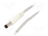 Cable; 2x0.5mm2; wires,DC 5,5/2,1 plug; straight; transparent; 2m BQ CABLE