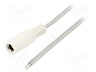 Cable; 2x0.5mm2; wires,DC 5,5/2,5 socket; straight; transparent BQ CABLE