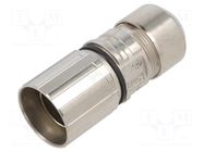 Enclosure for connectors: M23; for cable; straight; D6; 7÷10mm LAPP