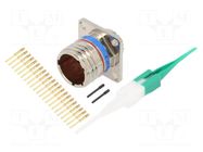 Connector: military; socket; male; PIN: 22; straight; crimped; 5A AMPHENOL AIR