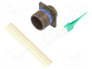 Connector: military; socket; male; PIN: 37; straight; crimped; 5A AMPHENOL AIR
