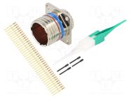 Connector: military; socket; male; PIN: 37; straight; crimped; 5A AMPHENOL AIR