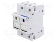 Fuse disconnector; D02; for DIN rail mounting; 63A; Poles: 1+N SCHNEIDER ELECTRIC