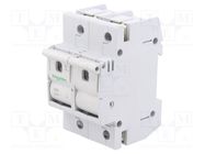 Fuse disconnector; D02; for DIN rail mounting; 63A; Poles: 2 SCHNEIDER ELECTRIC