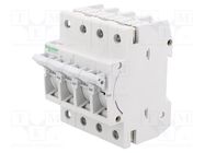 Fuse disconnector; D01; for DIN rail mounting; 16A; Poles: 3+N SCHNEIDER ELECTRIC