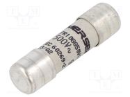 Fuse: fuse; gG; 10A; 500VAC; ceramic; 10x38mm SCHNEIDER ELECTRIC