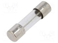 Fuse: fuse; time-lag; 1A; 250VAC; cylindrical,glass; 5x20mm; copper 