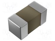 Resistor: thick film; SMD; 0201; 1MΩ; 50mW; ±5%; -55÷125°C ROYAL OHM