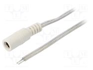 Cable; 2x0.5mm2; wires,DC 5,5/2,1 socket; straight; transparent BQ CABLE