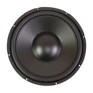 12" Poly Cone Woofer with Rubber Surround