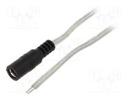 Cable; 2x0.5mm2; wires,DC 5,5/2,5 socket; straight; transparent BQ CABLE