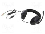 Headphones with microphone; matt black; Jack 3,5mm x2; 2m; 32Ω GEMBIRD