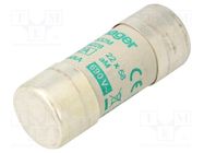 Fuse: fuse; aM; 32A; 690VAC; cylindrical,industrial; 22x58mm HAGER