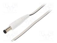 Cable; 2x0.35mm2; wires,DC 5,5/2,1 plug; straight; white; 1.5m WEST POL