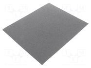 Cleaning cloth: sandpaper; Granularity: 60; 230x280mm PG PROFESSIONAL