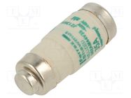 Fuse: fuse; aM; 35A; 440VAC; industrial; D02 MERSEN