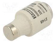 Fuse: fuse; gG; 32A; 500VAC; 500VDC; industrial; DIII MERSEN