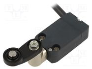 Limit switch; lever R 35mm, plastic roller Ø18mm; NO + NC; 10A PIZZATO ELETTRICA