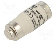 Fuse: fuse; gG; 35A; 400VAC; 250VDC; industrial; D02 MERSEN