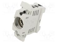 Fuse holder; protection switchgear; D01; for DIN rail mounting 