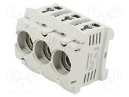 Fuse holder; protection switchgear; D01; for DIN rail mounting MERSEN