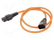 Cable; IEC C13 female,IEC C14 male; 1m; with IEC LOCK locking SCHAFFNER / TE Connectivity