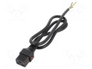 Cable; IEC C19 female,wires; 1m; with IEC LOCK locking; black SCHAFFNER / TE Connectivity