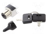 Switch: key switch; Stabl.pos: 2; Switch.method: ON-ON; THT; SK NKK SWITCHES