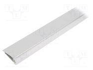 Profiles for LED modules; white; natural; L: 2m; WALLE12; surface 