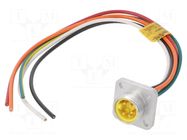 Connector: 7/8"; socket; 0.305m; male; PIN: 5; Mini-Change; 8A; IP67 MOLEX