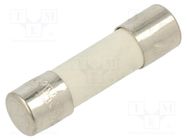 Fuse: fuse; quick blow; 800mA; 250VAC; ceramic; 5x20mm; brass; FCD OPTIFUSE