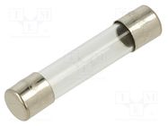 Fuse: fuse; quick blow; 315mA; 250VAC; glass; 6.3x32mm; brass; FSA OPTIFUSE