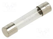 Fuse: fuse; quick blow; 600mA; 250VAC; glass; 6.3x32mm; brass; FSA OPTIFUSE