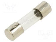 Fuse: fuse; quick blow; 160mA; 250VAC; glass; 5x20mm; bulk OPTIFUSE