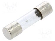 Fuse: fuse; medium time-lag; 2A; 250VAC; glass; 5x20mm; brass; bulk OPTIFUSE