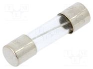 Fuse: fuse; medium time-lag; 315mA; 250VAC; glass; 5x20mm; brass OPTIFUSE