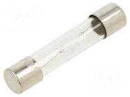Fuse: fuse; 1.6A; 250VAC; time-lag; glass; 6.3x32mm; TSA; brass OPTIFUSE